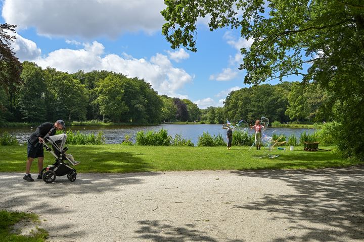 Bekijk foto 46 van Carel Reinierszkade 13