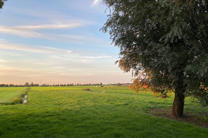 Photo 7 of Noordzijde