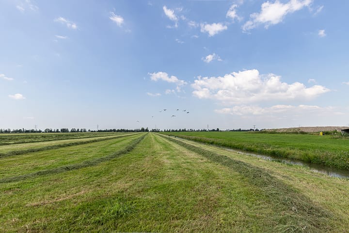 Photo 15 of Noordzijde