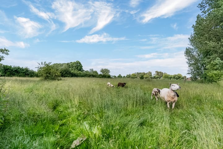 Foto 4 van Kamervoort 50