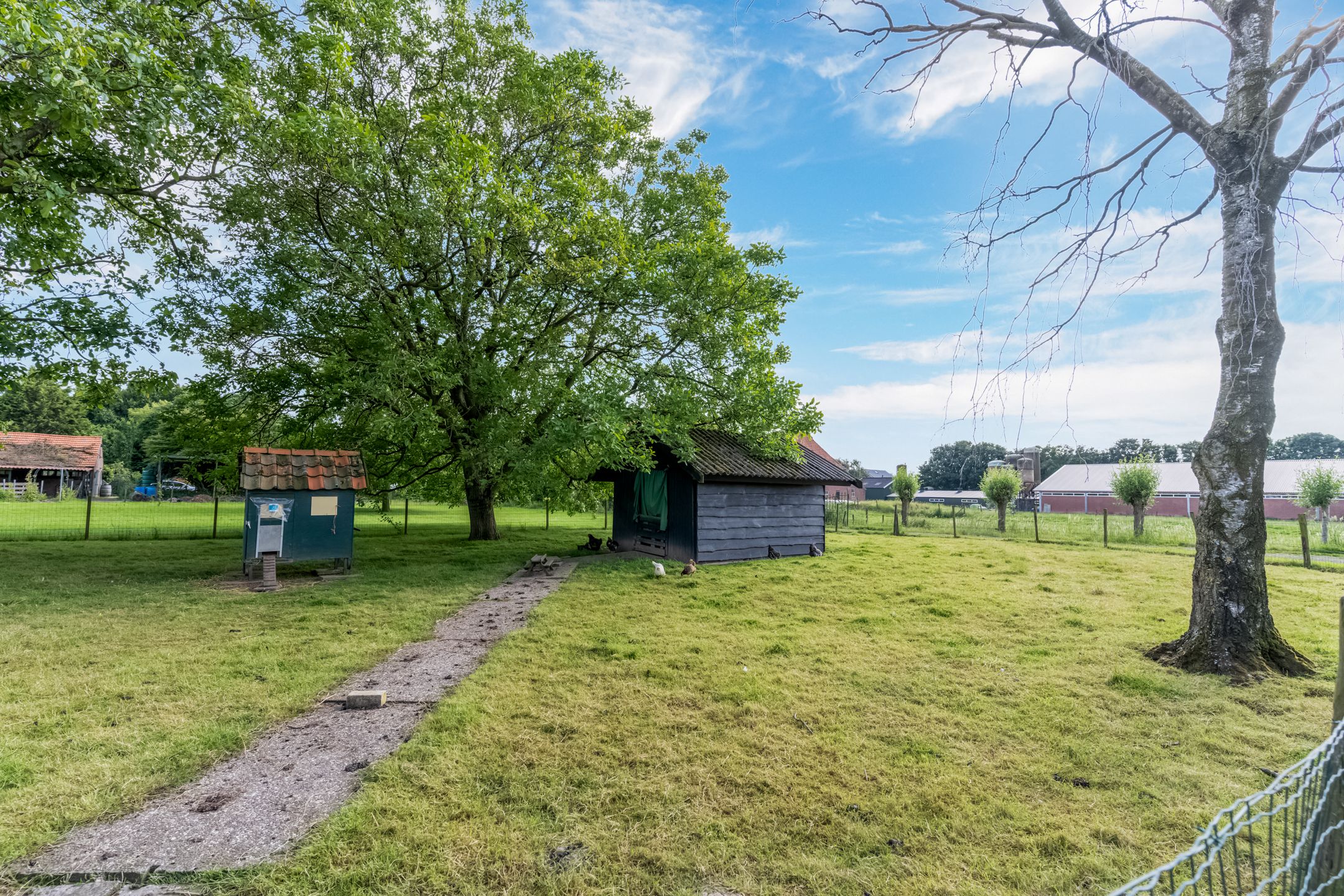 Photo 60 of Kamervoort 50