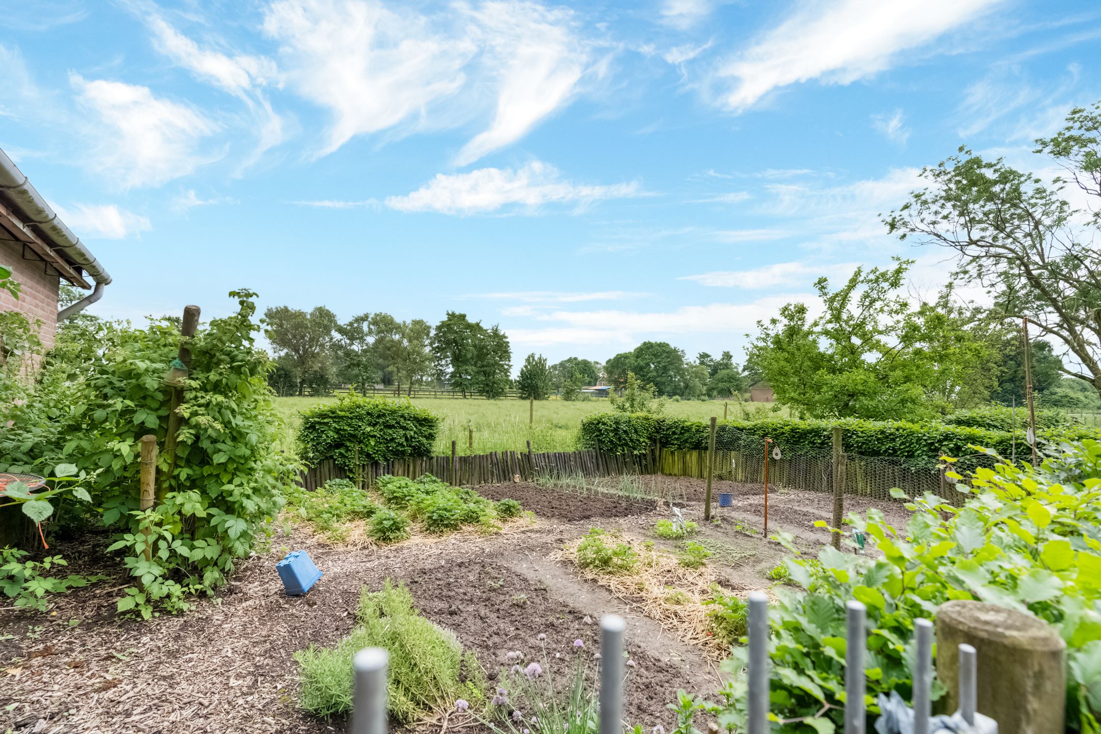 Photo 63 of Kamervoort 50