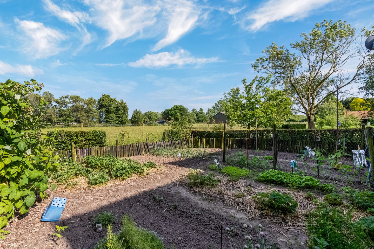 Photo 64 of Kamervoort 50