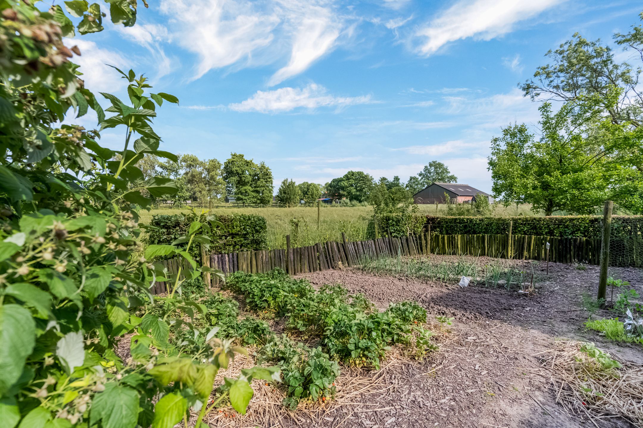 Photo 66 of Kamervoort 50