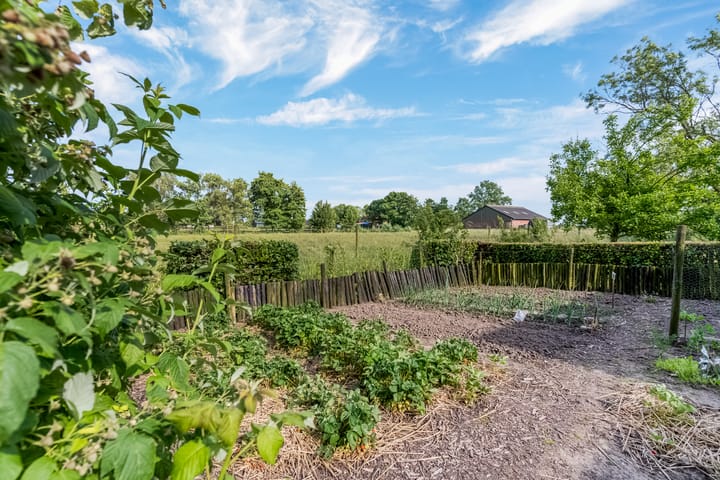 Foto 66 van Kamervoort 50