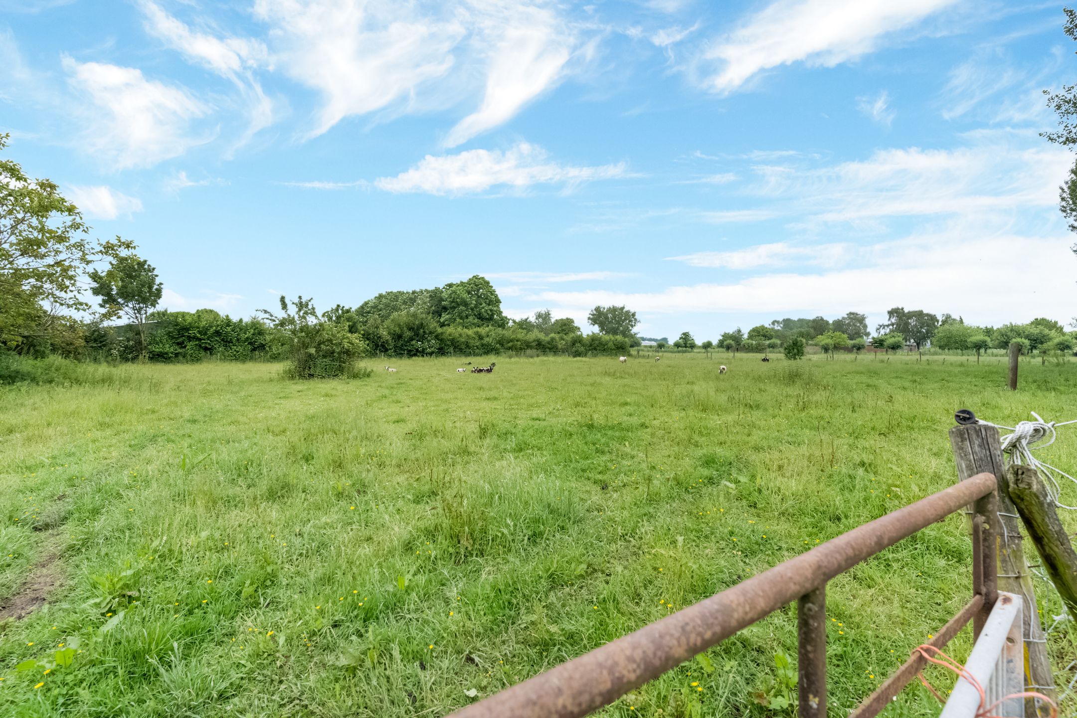 Photo 69 of Kamervoort 50