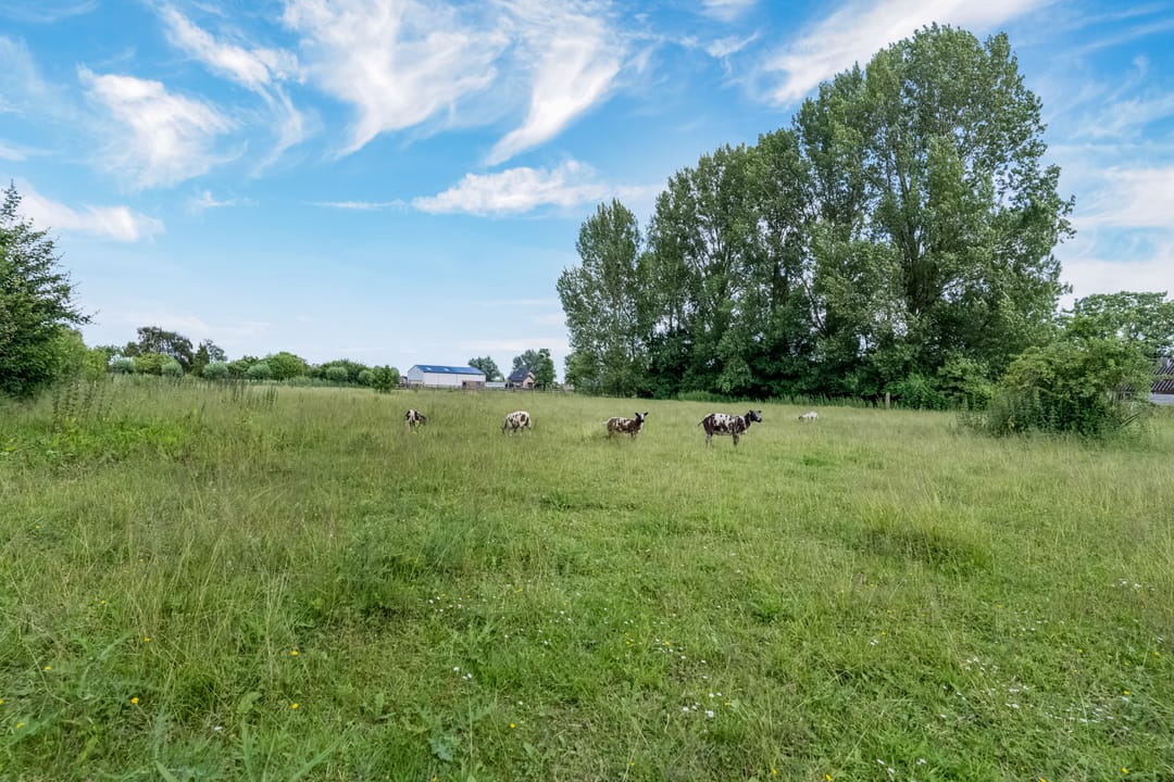 Photo 71 of Kamervoort 50