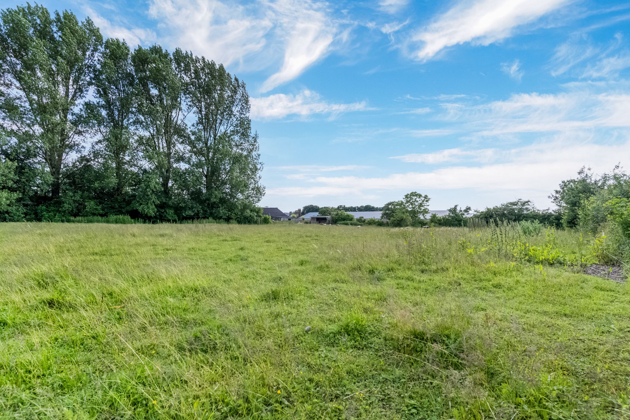 Photo 72 of Kamervoort 50