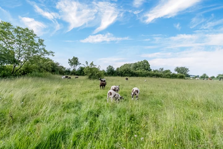 Foto 74 van Kamervoort 50