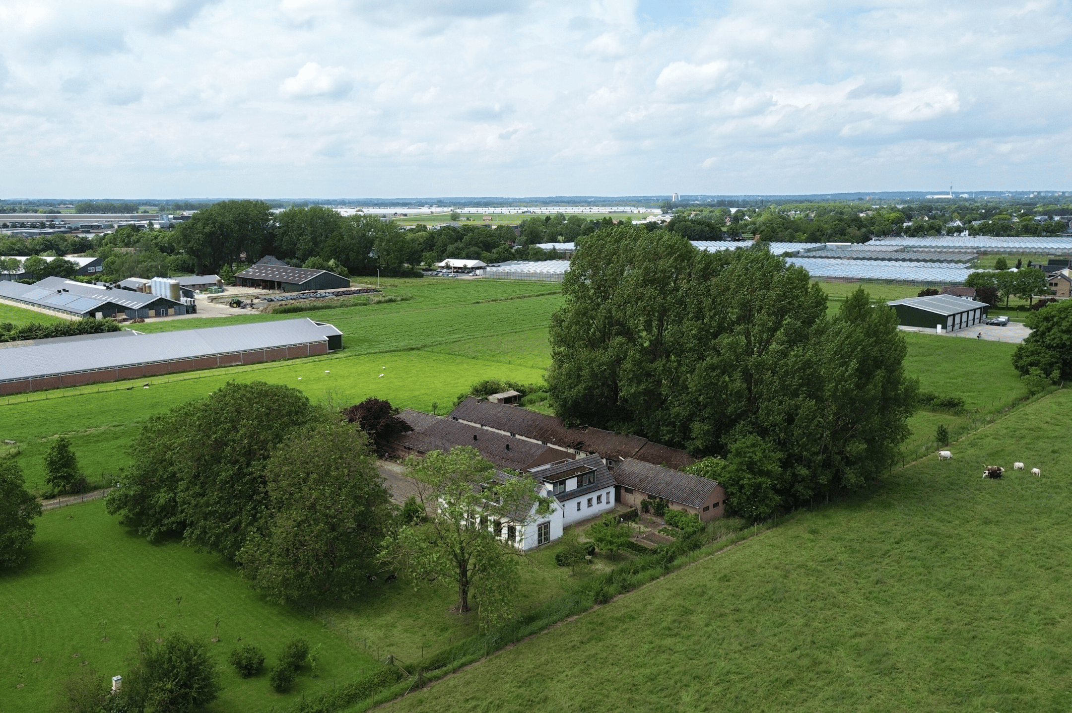 Photo 75 of Kamervoort 50