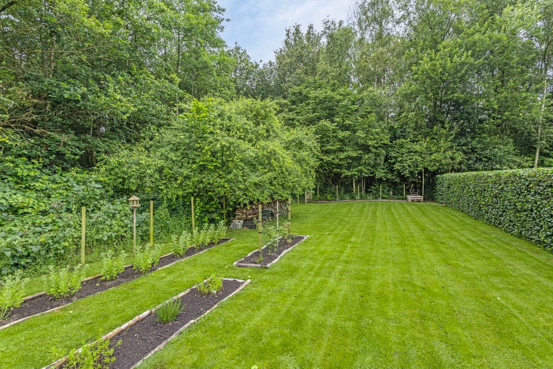 Photo 38 of Boslaan 25