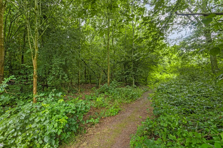 Foto 40 van Boslaan 25