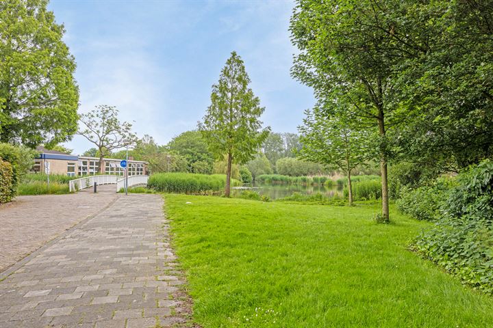 View photo 31 of Schiedamseweg 63