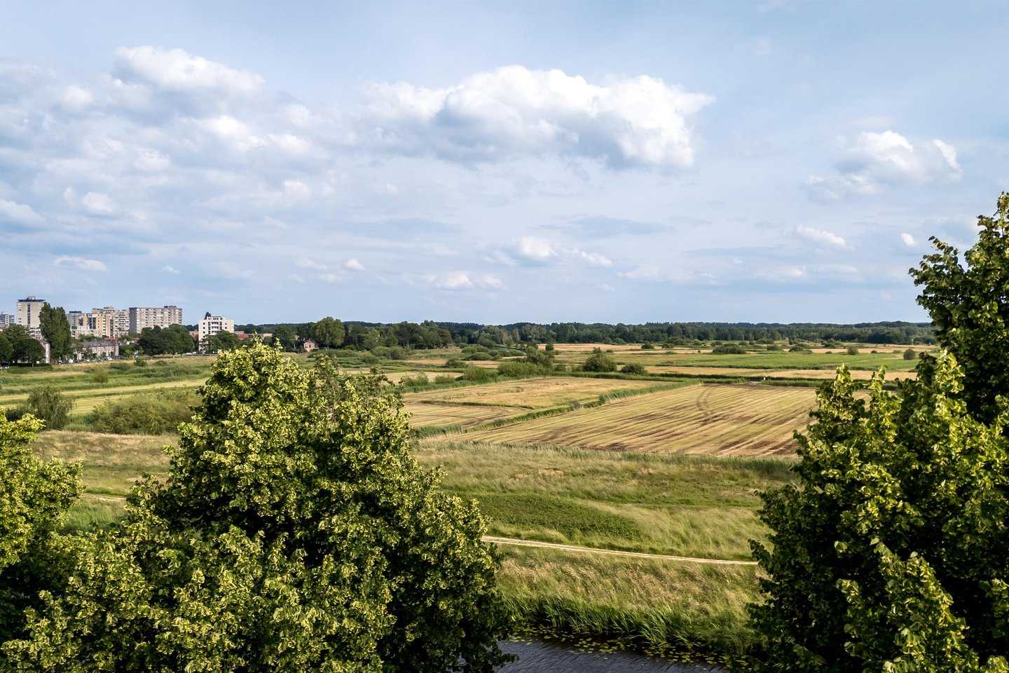 Bekijk foto 3 van Zuidwal 57