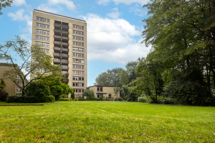 Bekijk foto 52 van Generaal Foulkesweg 319