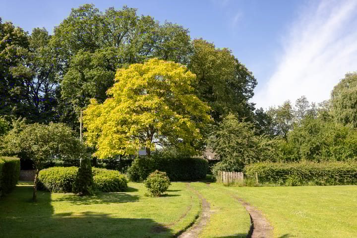 Foto 43 van Belterweg 10