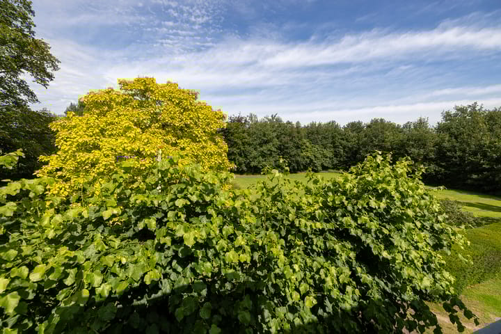 Foto 57 van Belterweg 10