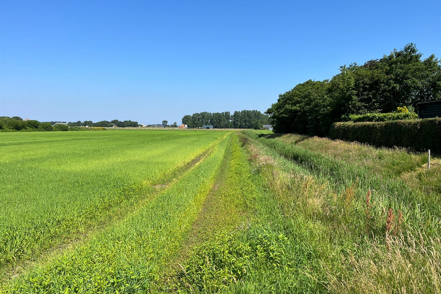 Bekijk foto 3 van Cultuurgrond bij Pontweg