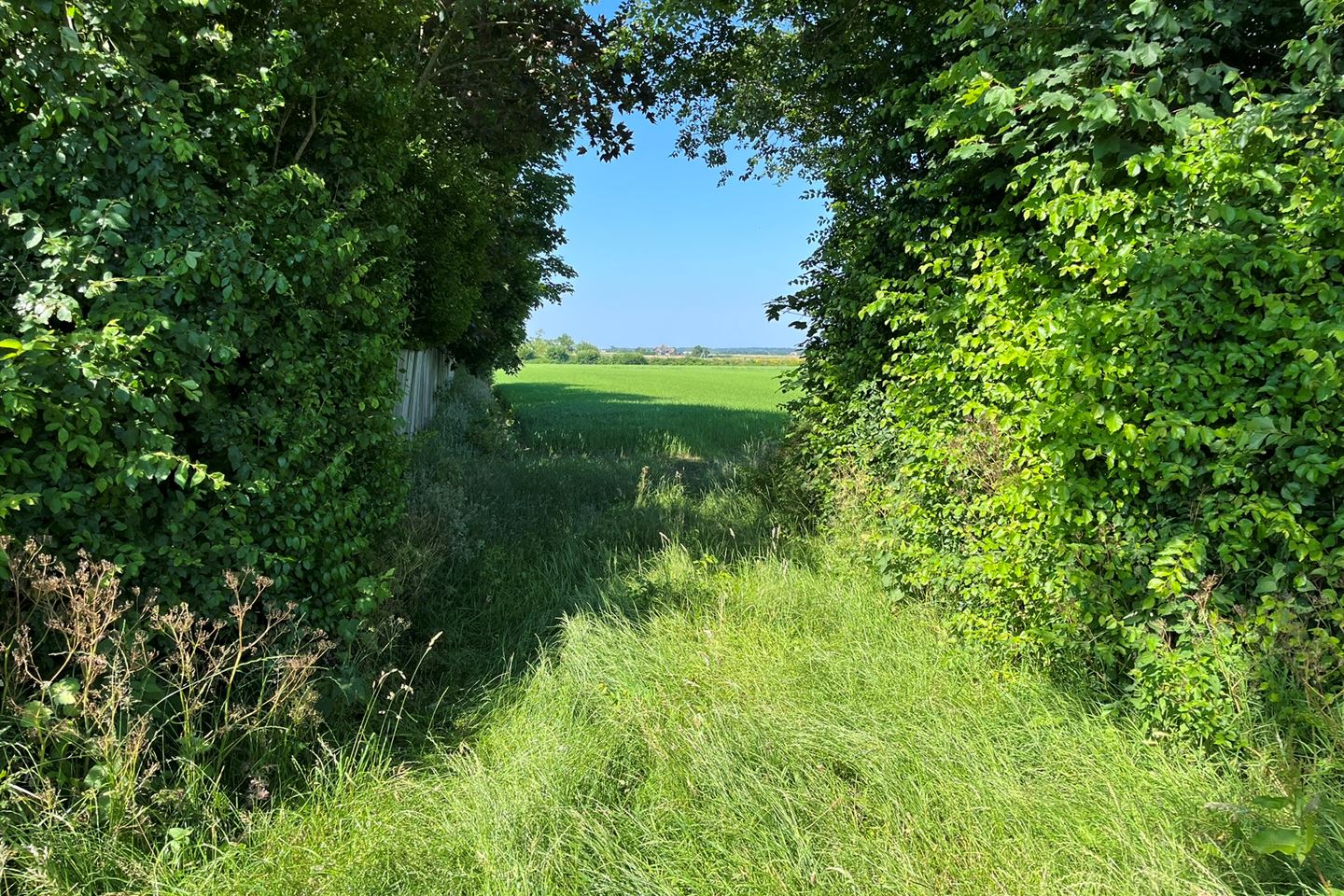 Bekijk foto 5 van Cultuurgrond bij Pontweg