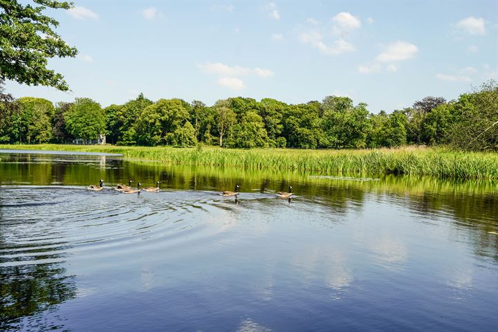 View photo 29 of Park Oud Wassenaar 37