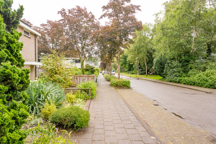 Bekijk foto 40 van Van Oldenbarneveltstraat 43