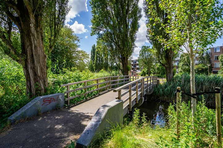 Bekijk foto 35 van Westbroekstraat 9