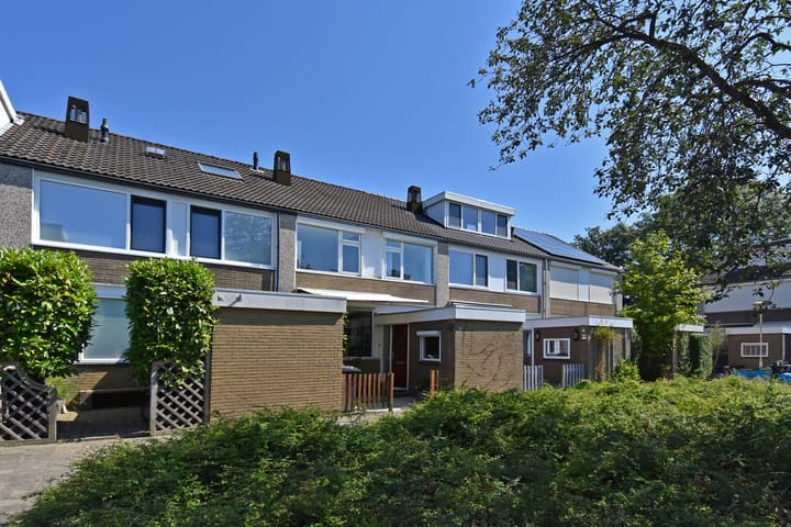 Foto 5 van Zijlberg 16