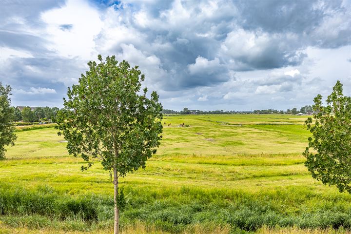 Bekijk foto 38 van Joeswerd 111