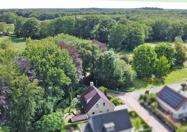 Foto 3 van Dalkruid 8