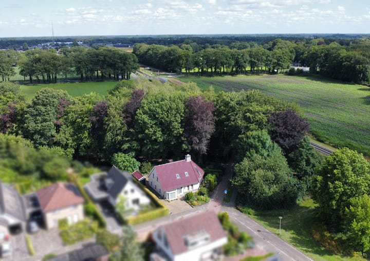 Foto 2 van Dalkruid 8