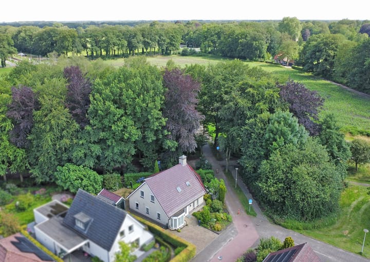 Foto 34 van Dalkruid 8