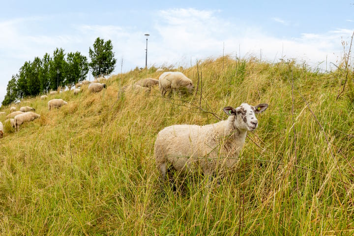 Foto 34 van Bergweg 14