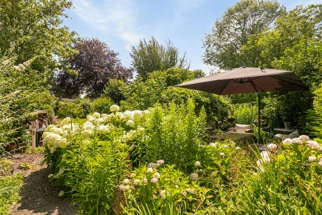 Foto 58 van Weststraat 3