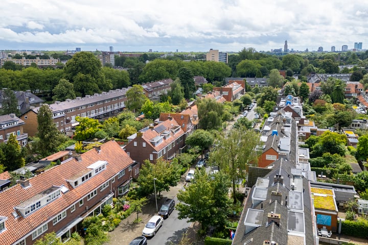 Bekijk foto 19 van Prof. Hugo de Vrieslaan 42