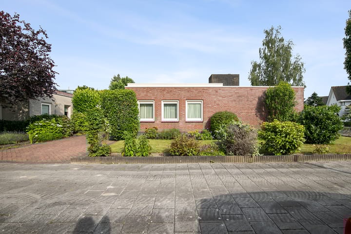 Foto 6 van Jungfrau 7