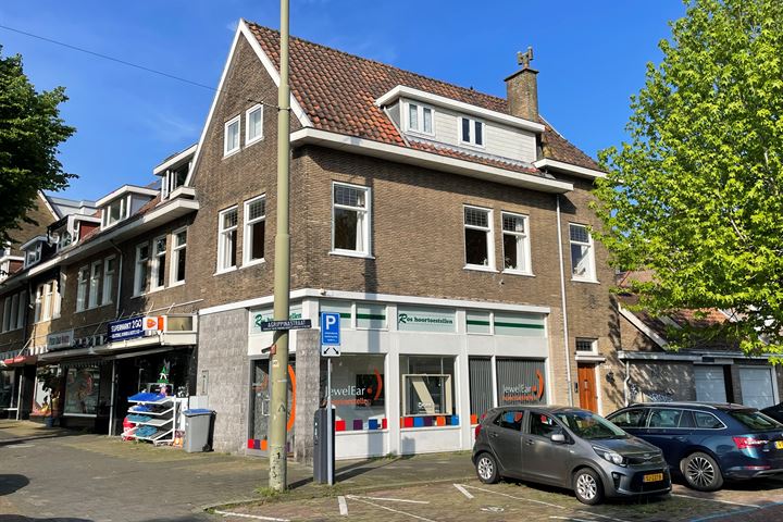 Prinses Mariannelaan 280, Voorburg