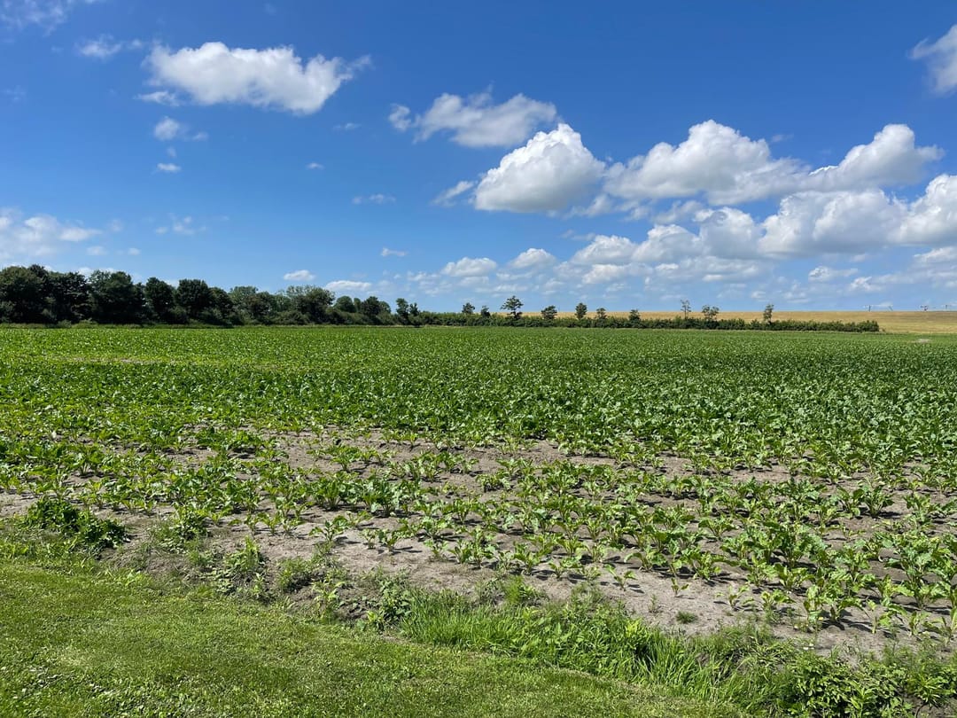 Foto 22 van Stoofstraat 14