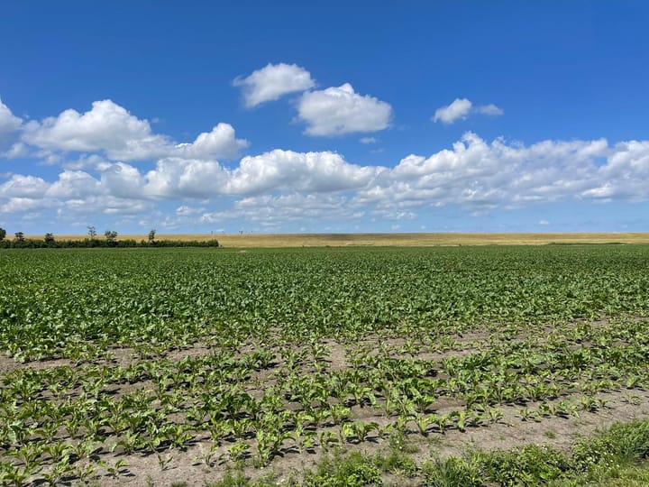 Foto 23 van Stoofstraat 14