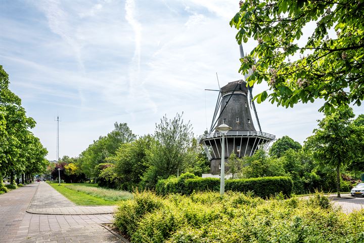 Bekijk foto 21 van Nieuwpoortstraat 86-B4