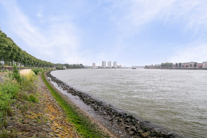 Foto 6 van Oostmaaslaan 209-B