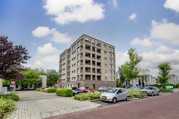 Bekijk foto 4 van Lakerpolderplein 8