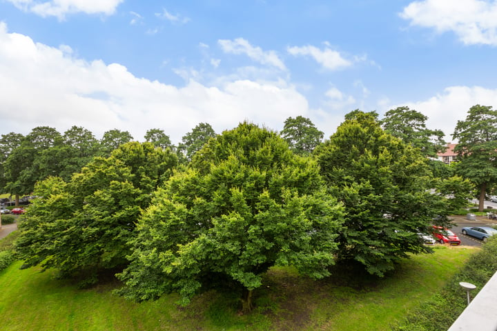 Bekijk foto 31 van van Markenplantsoen 130