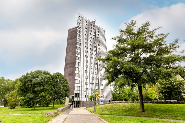 Foto 4 van Fellinilaan 106