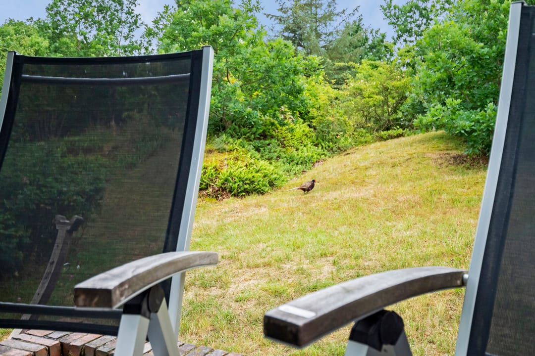 Photo 28 of Louwvlakte 6