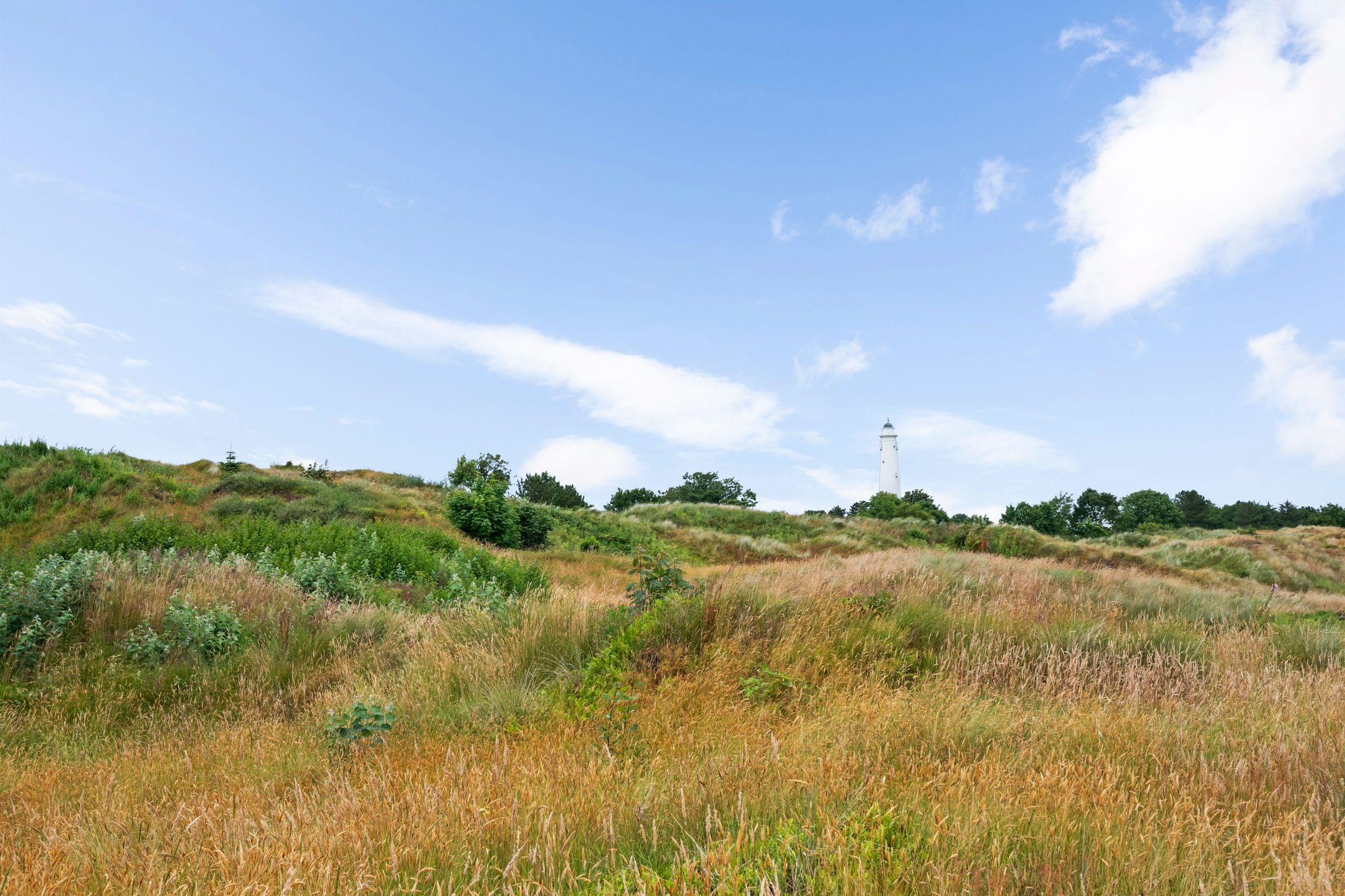 Photo 33 of Louwvlakte 6