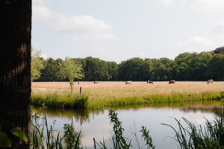 Photo 3 of Leeuwenlaan 10