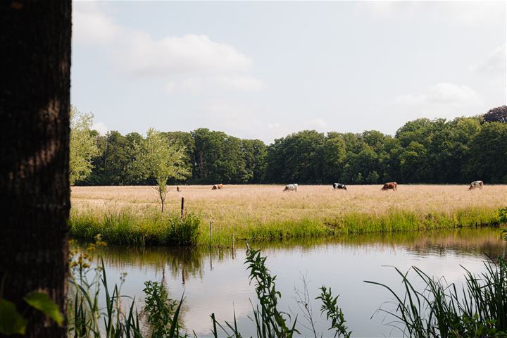 Bekijk foto 3 van Leeuwenlaan 10