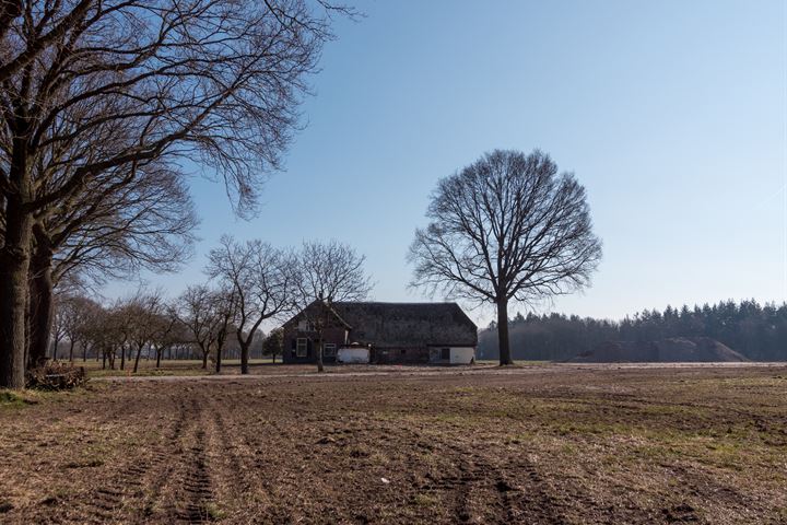 Bekijk foto 17 van Steunenbergerweg