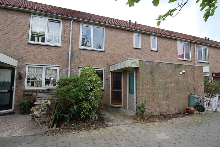 Saliestraat 24