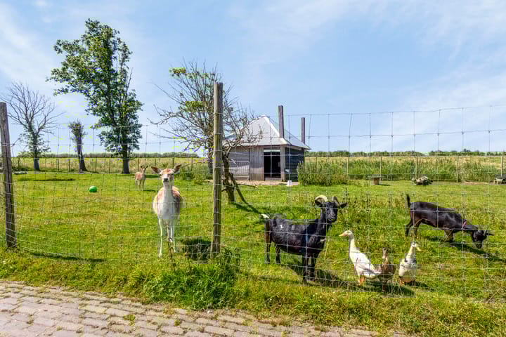 Foto 34 van Groenedijk 6-343